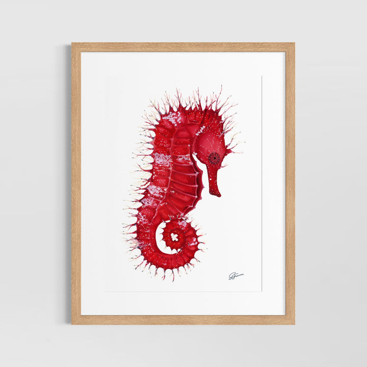 Framed artwork of a red seahorse on a white background