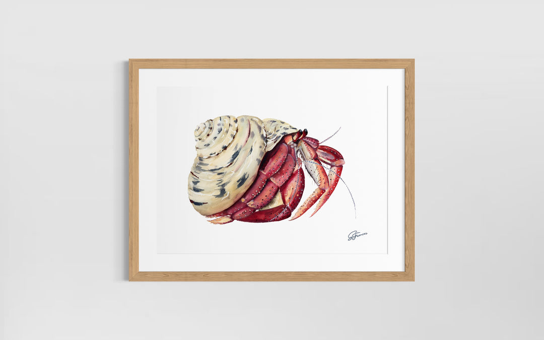 Premium collection: The wonder of the shore.