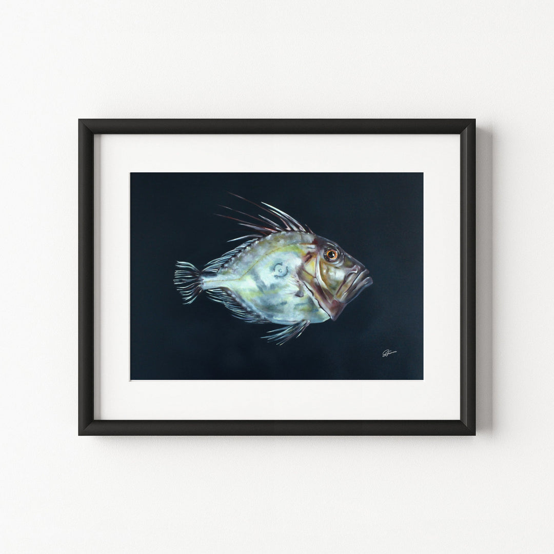 Framed artwork of a fish on a white wall