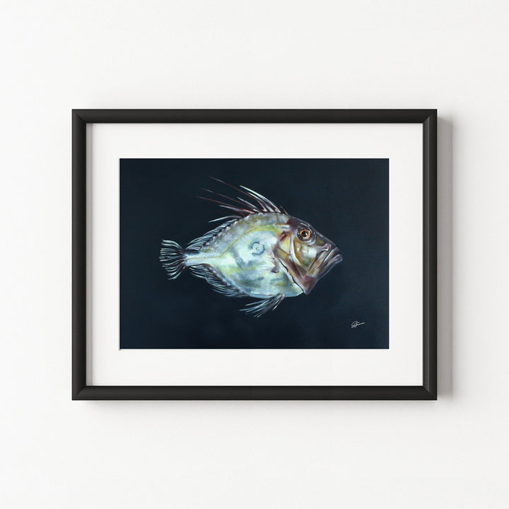 Framed artwork of a fish on a white wall