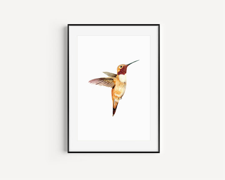 Flight of Elegance - Hummingbird Fine Art Hand Embellished Print
