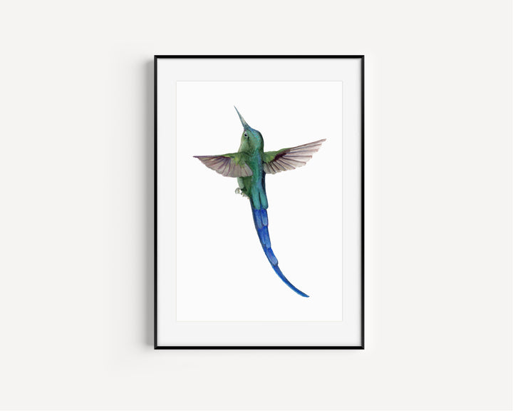 Sylphic Radiance -Hummingbird Fine Art Hand Embellished Print