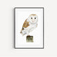 Nocturnal Melody Barn Owl Fine Art Print