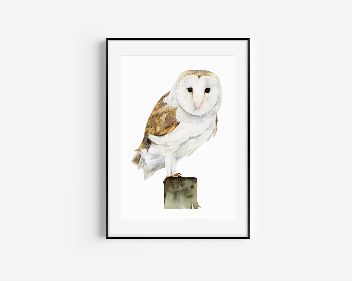 Nocturnal Melody Barn Owl Fine Art Print