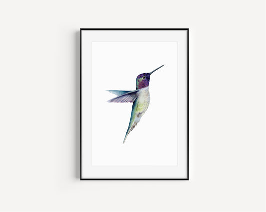 Miniature Majesty - Hummingbird Fine Art Hand Embellished Print