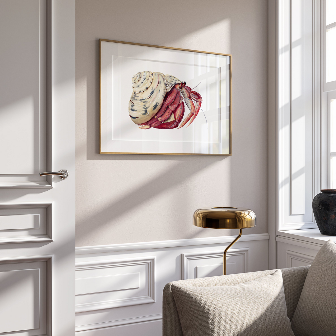 Premium collection: The wonder of the shore.