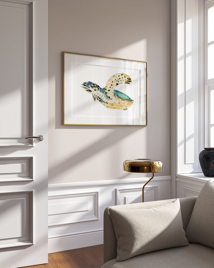 Hawksbill Sea Turtle Fine Art Print | Premium Collection