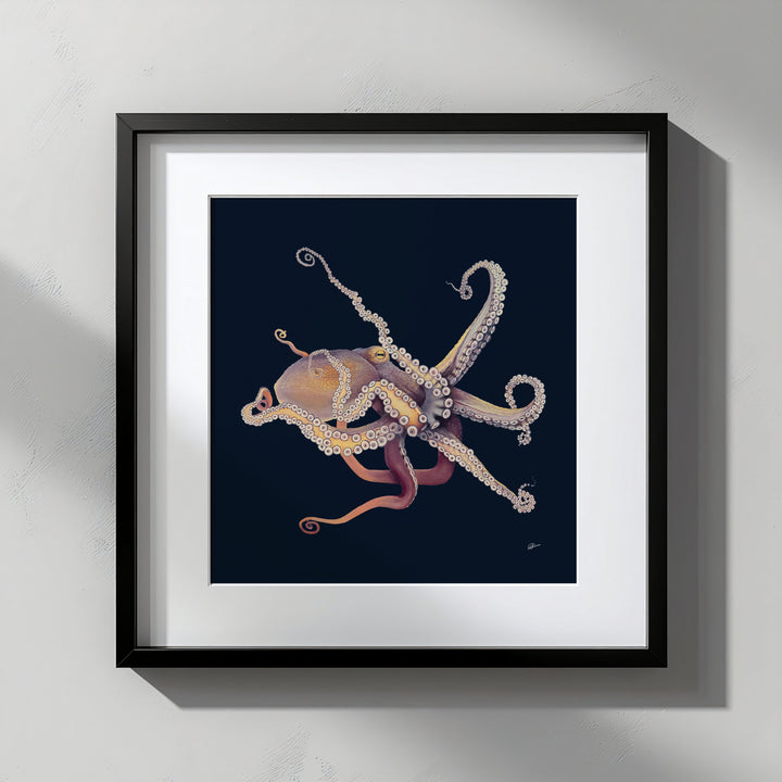 Framed artwork of an octopus on a dark background