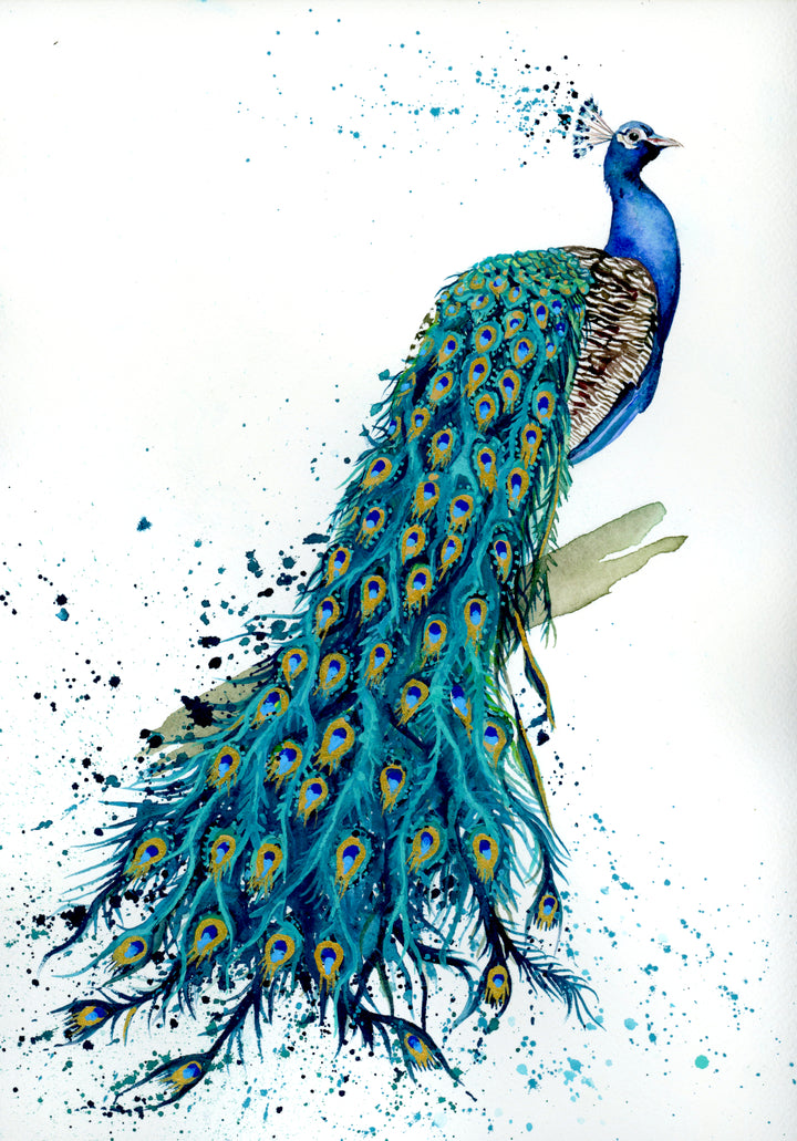 Artistic illustration of a peacock with vibrant blue and green feathers on a white background.