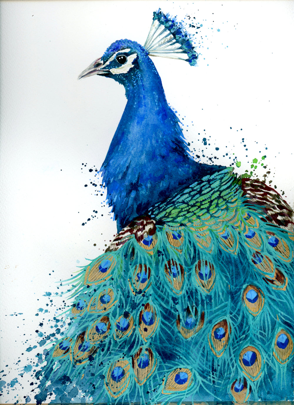 Colorful painting of a peacock with vibrant blue and green feathers on a white background.