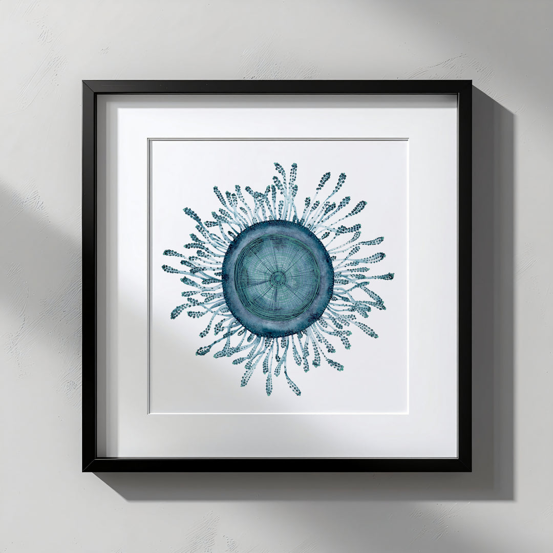 Framed artwork of a blue circular design with patterns on a white background