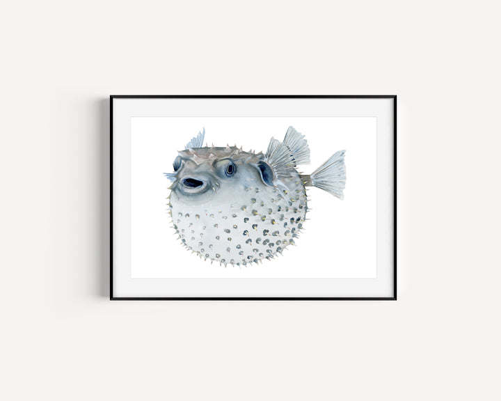 Pufferfish Fine Art Print