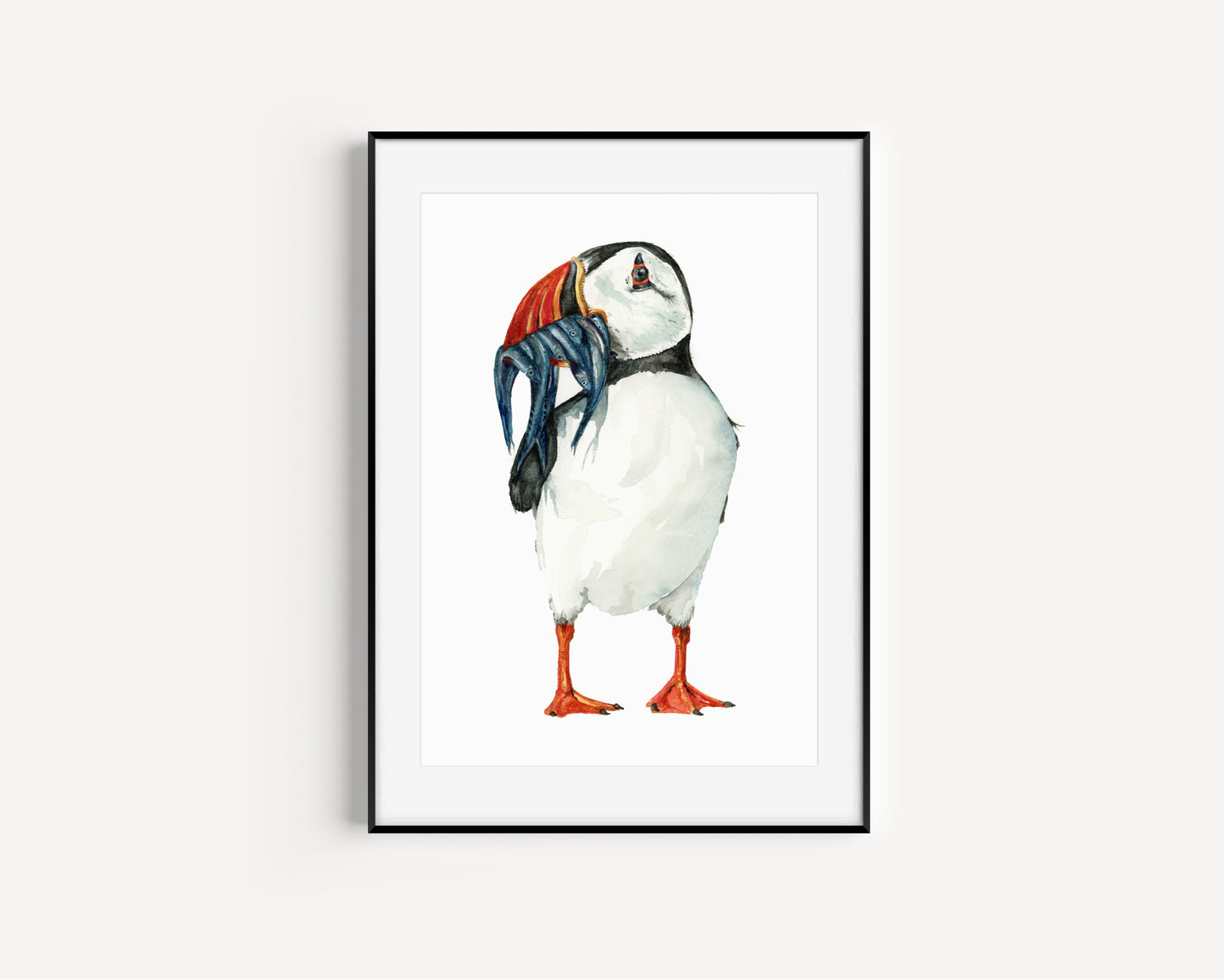 Puffin Clown of the Sea Fine Art Print