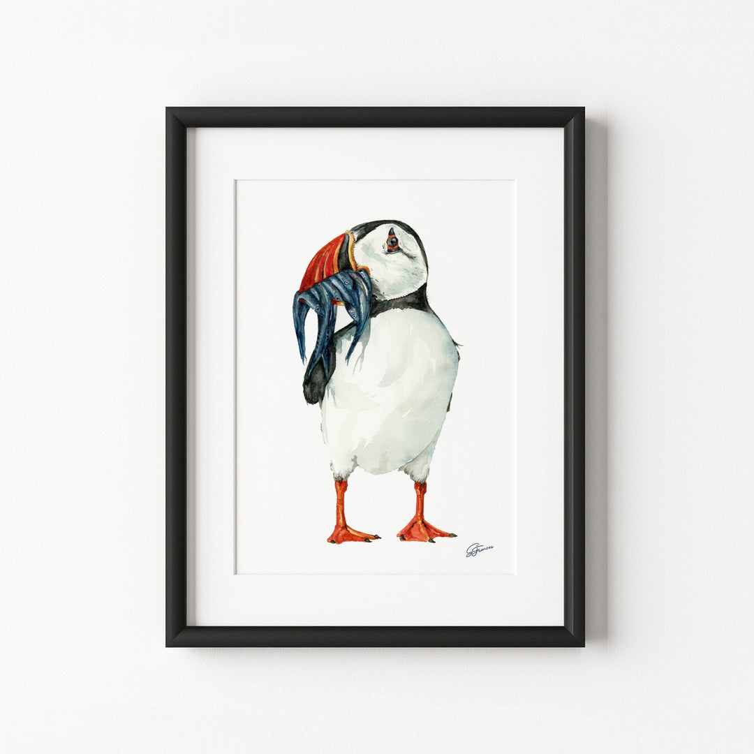 Framed artwork of a puffin on a white wall