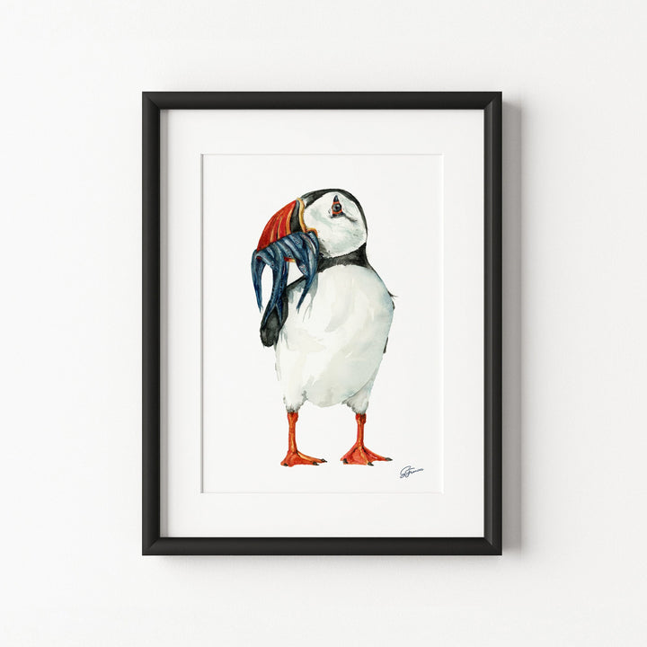 Framed artwork of a puffin on a white wall