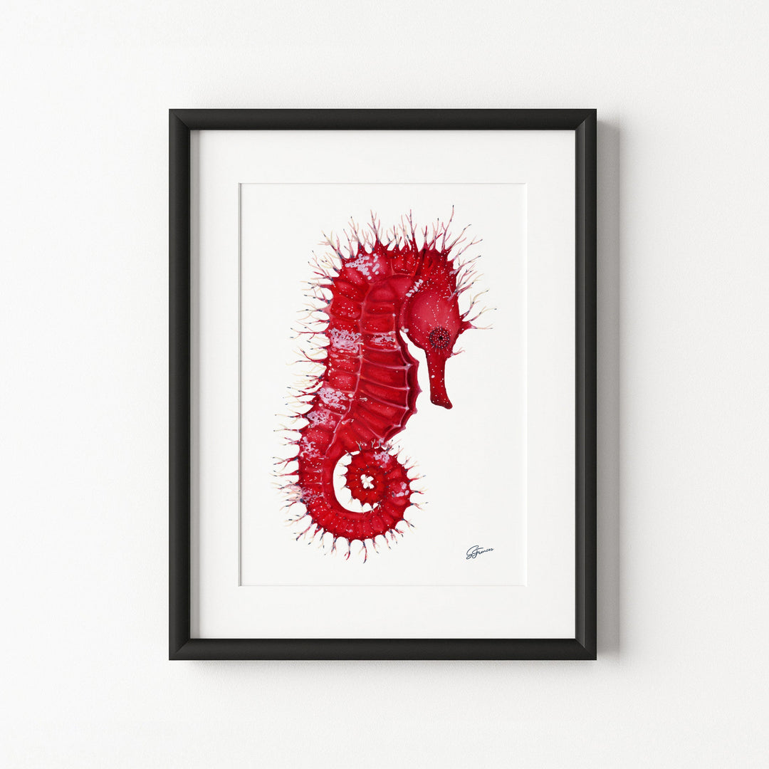 Framed artwork of a red seahorse on a white background