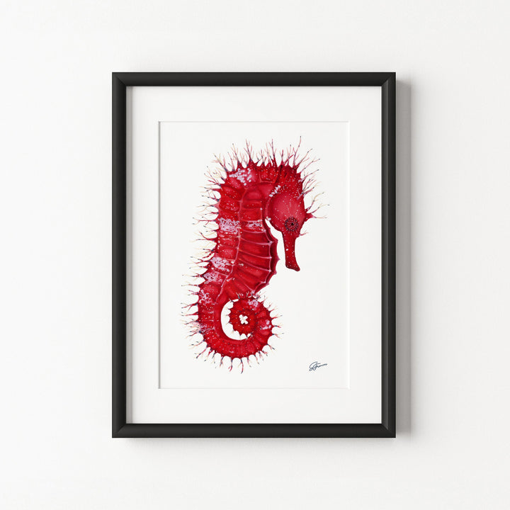 Framed artwork of a red seahorse on a white background