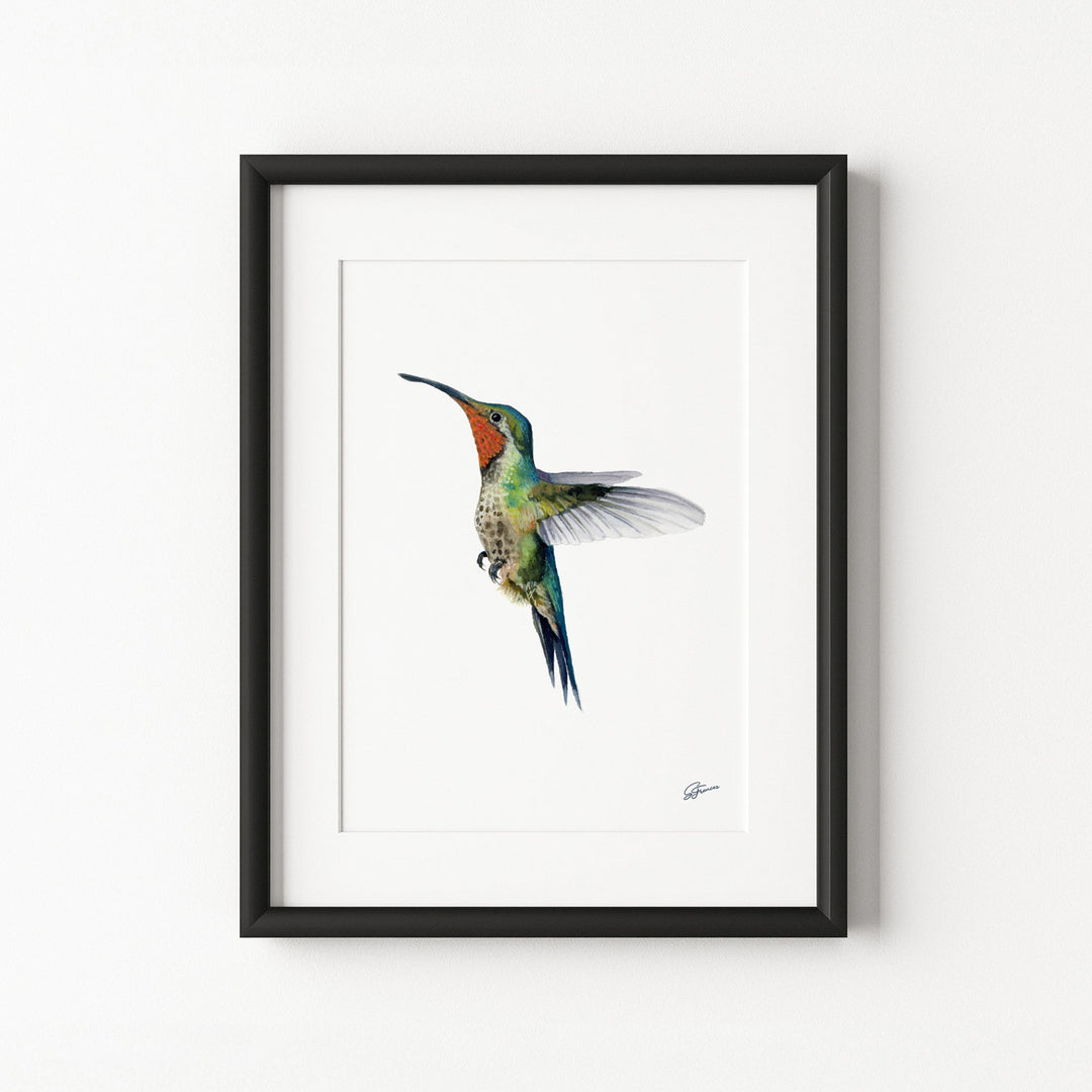 Framed artwork of a colorful hummingbird on a white background