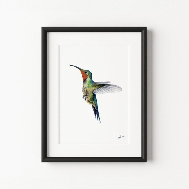 Framed artwork of a colorful hummingbird on a white background