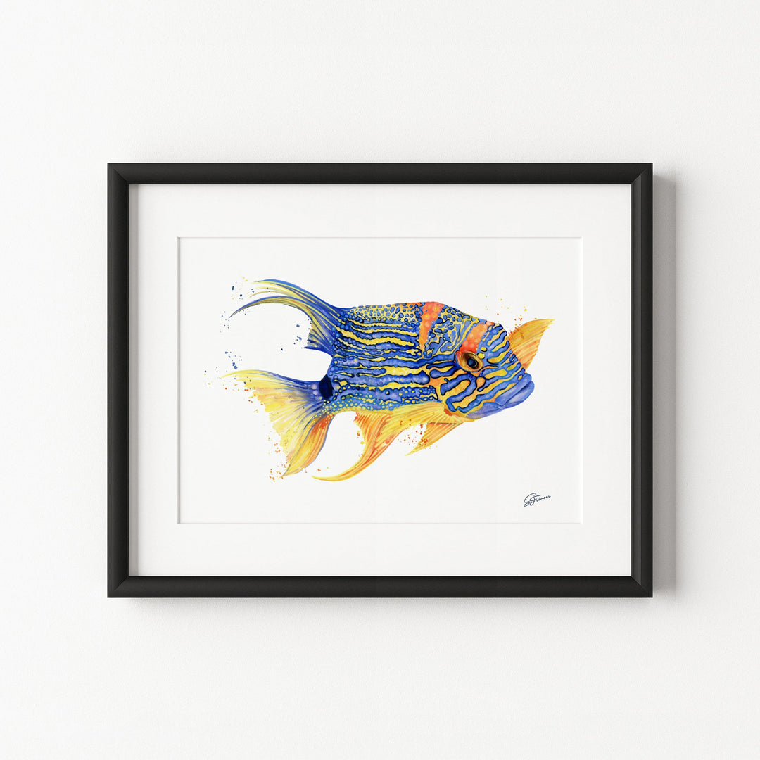 Framed artwork of a colorful fish on a white background