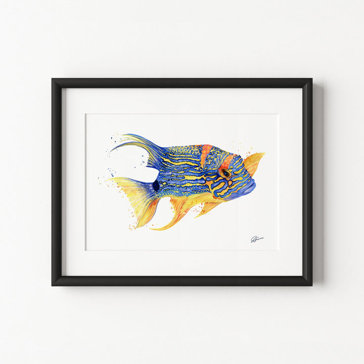 Framed artwork of a colorful fish on a white background