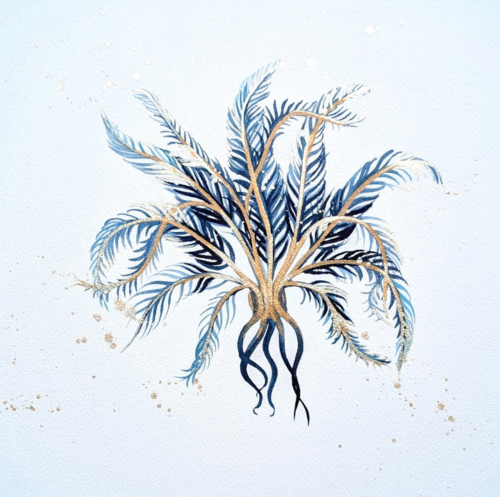 Midnight Bower