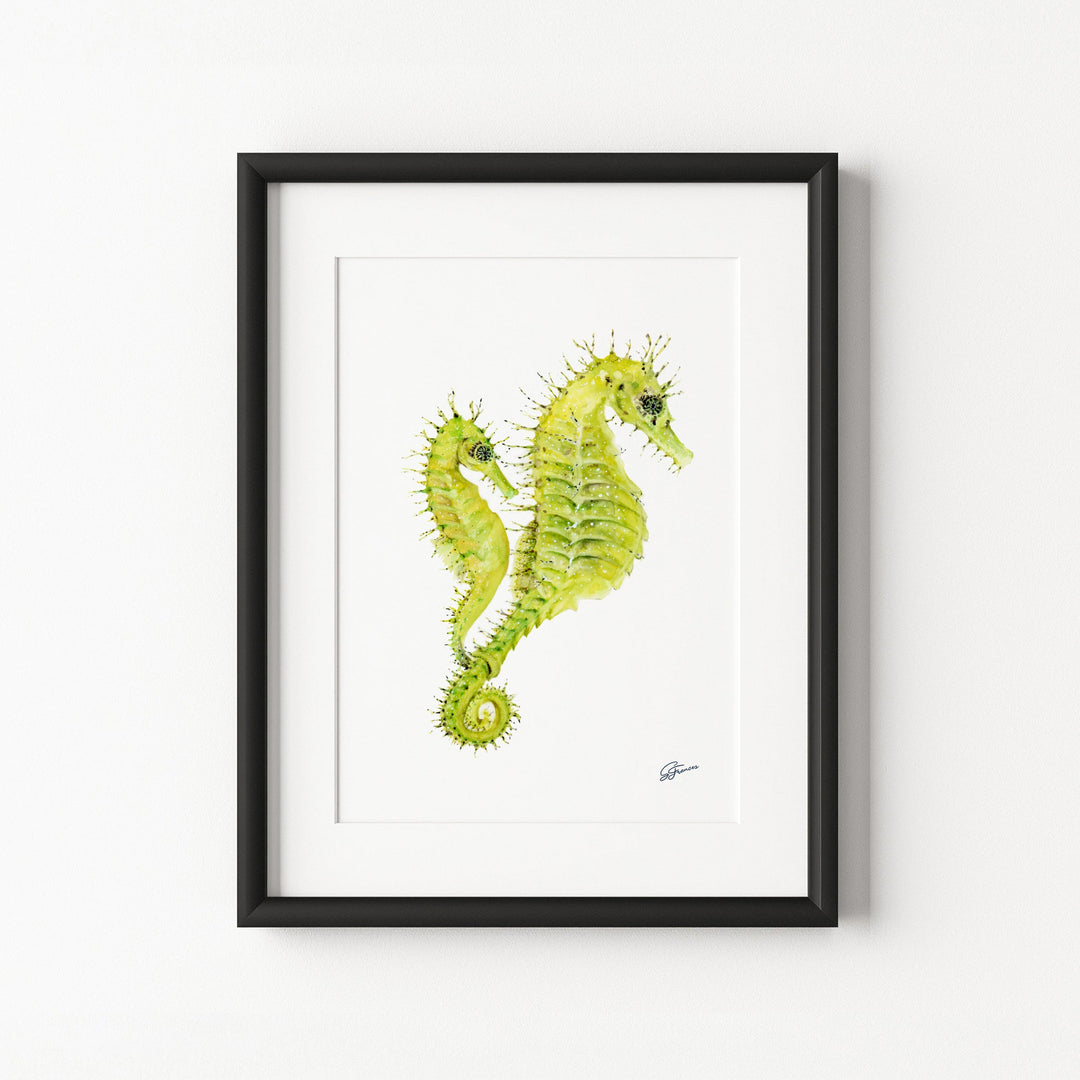 Spiny Seahorse Fine Art Print | Premium Collection
