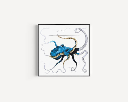 Hyacintho Polypus Fine Art Print with Sketched Mount