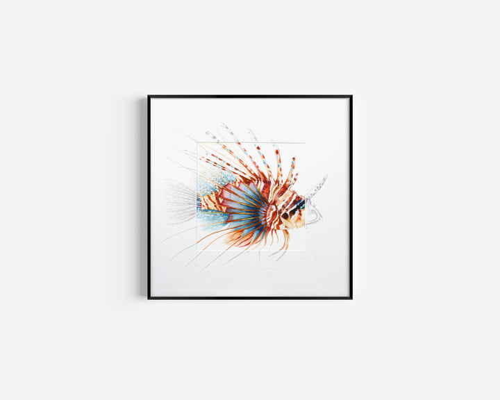 Lion Fish Fine Art Print with Sketched Mount