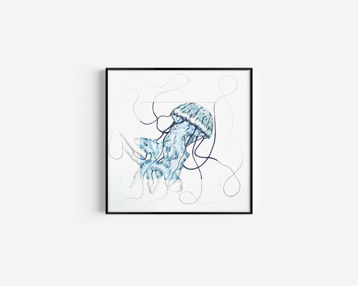 Sea Nettle Jellyfish Fine Art Print with Sketched Mount