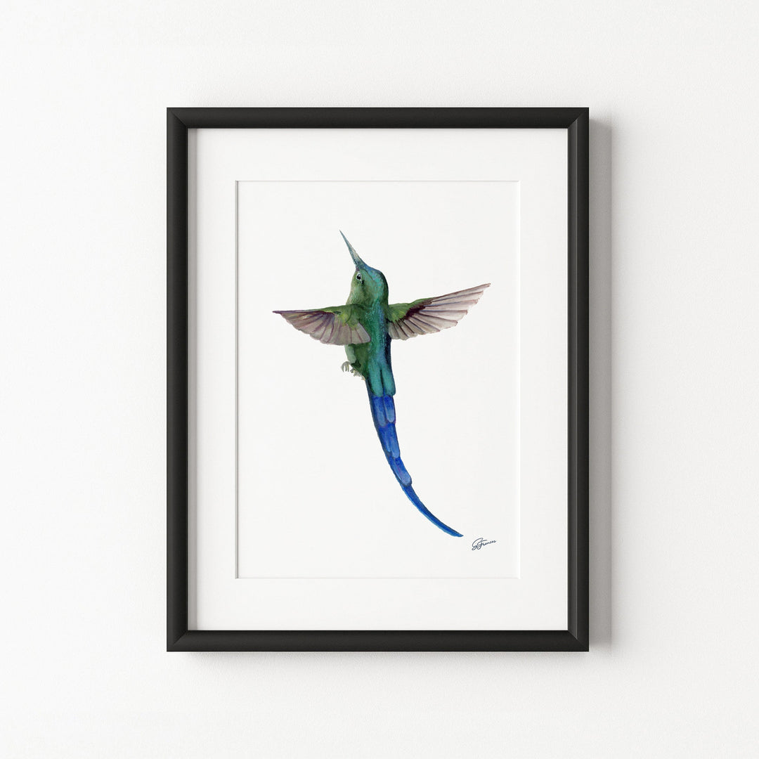 Framed artwork of a blue and green bird on a white wall