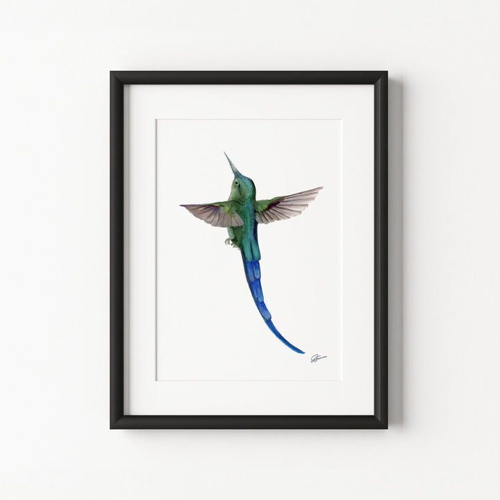 Framed artwork of a blue and green bird on a white wall