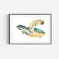 Hawksbill Turtle Fine Art Print