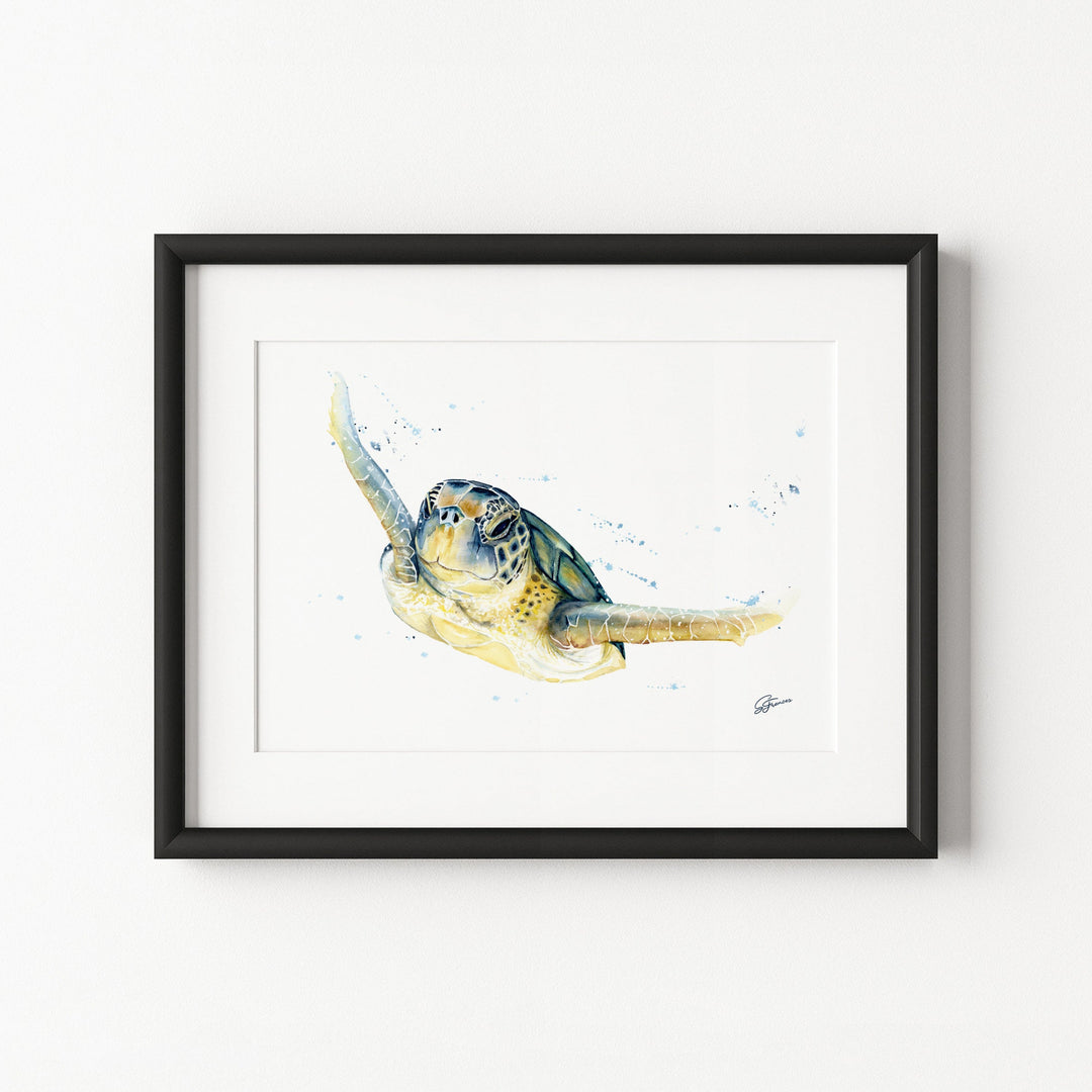 Framed artwork of a turtle on a white background