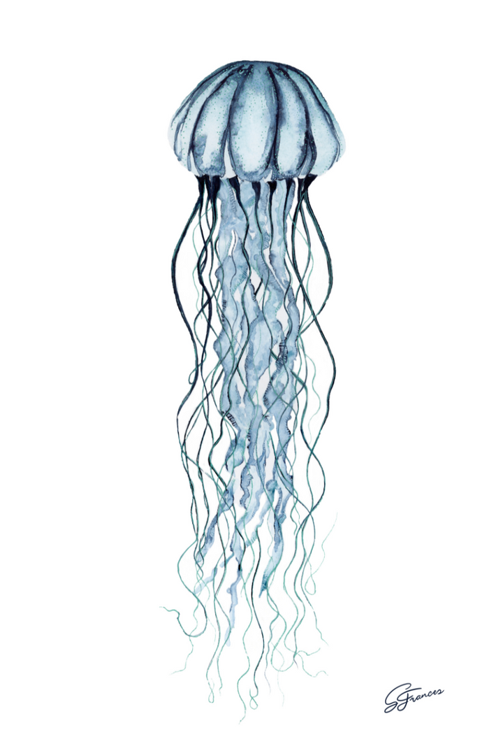 detailed image of jellyfish print