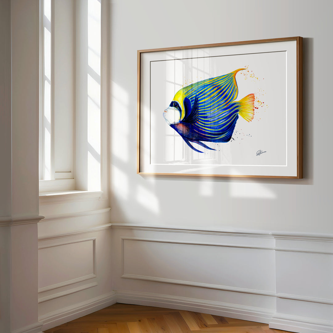 Framed artwork of a colorful fish on a white wall with natural light.