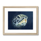 Turtle head Framed & Mounted Print