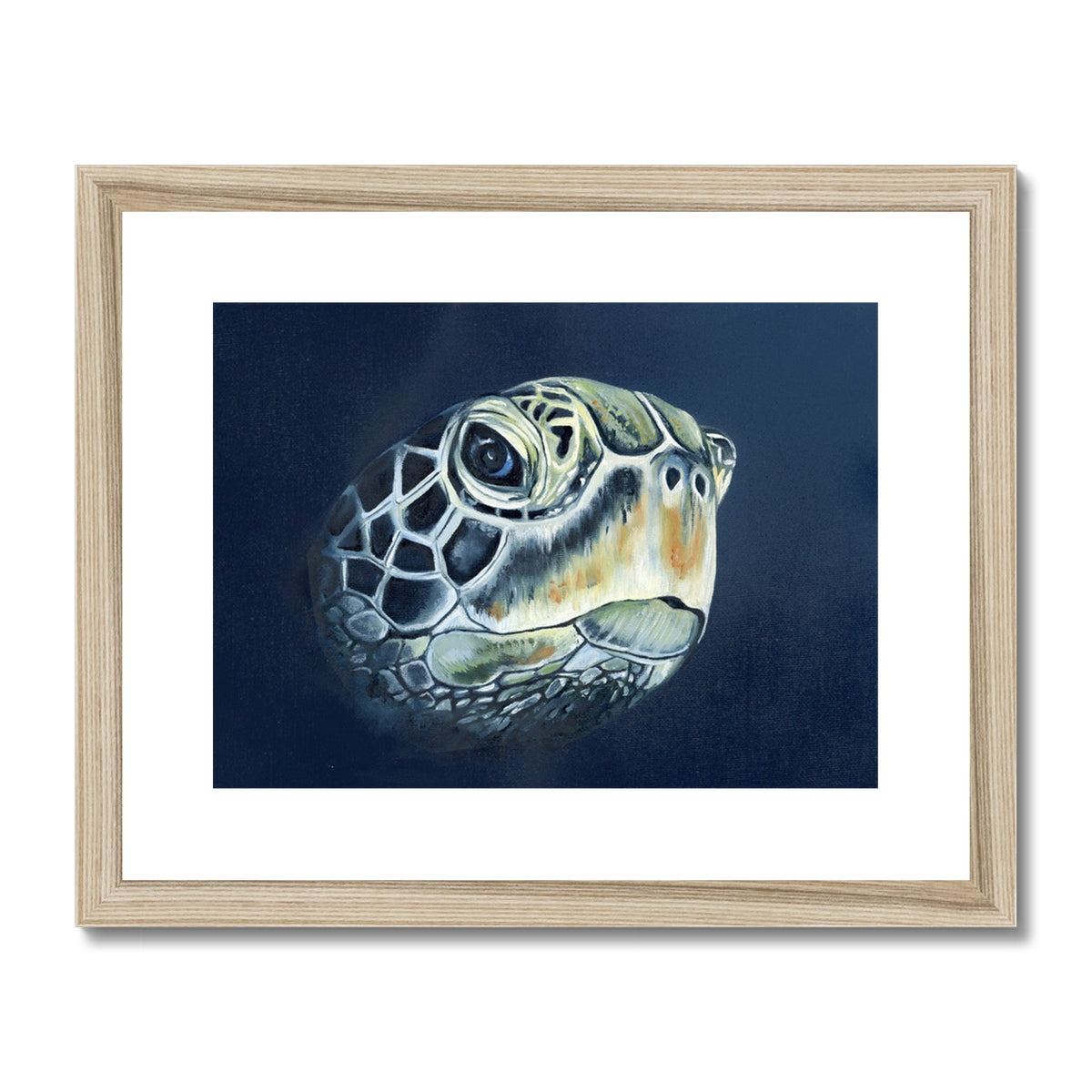 Turtle head Framed & Mounted Print