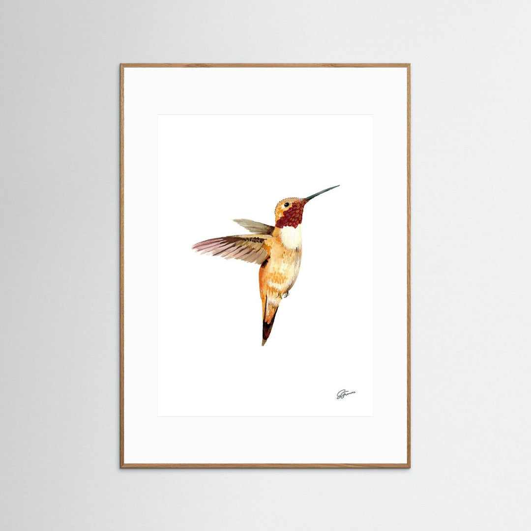 Flight of Elegance Hummingbird | Fine Art Print