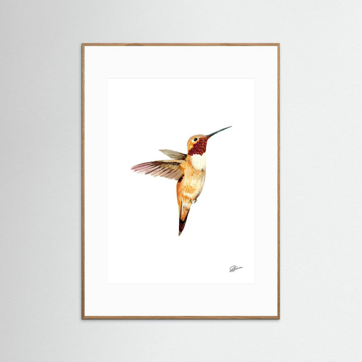 Flight of Elegance Hummingbird | Fine Art Print