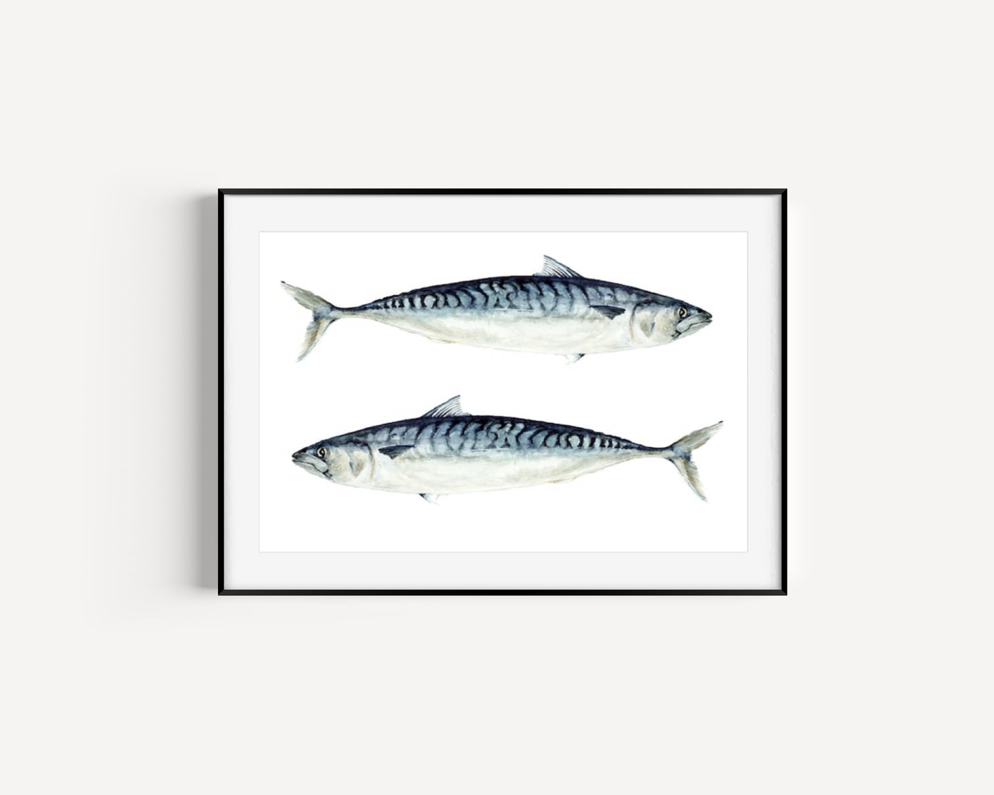 Atlantic Mackerel Fine Art Print