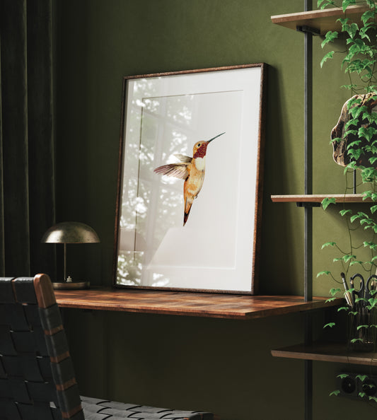 Flight of Elegance - Hummingbird Fine Art Hand Embellished Print