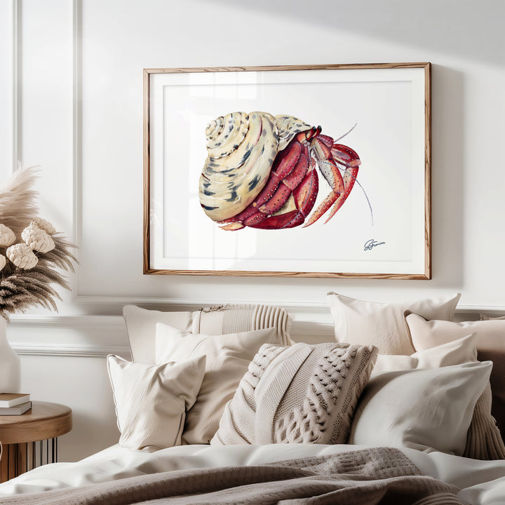 Premium collection: The wonder of the shore.