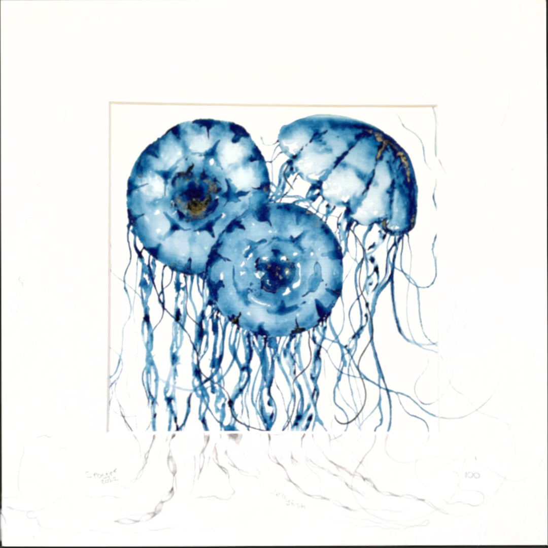 Triple Jellyfish Sketched mount