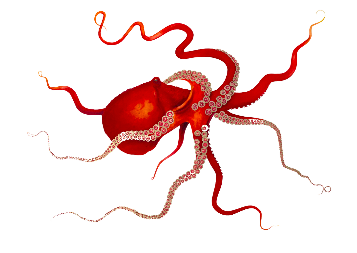 red octopus