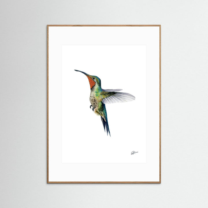 Hummingbird's Dance | Fine Art Print