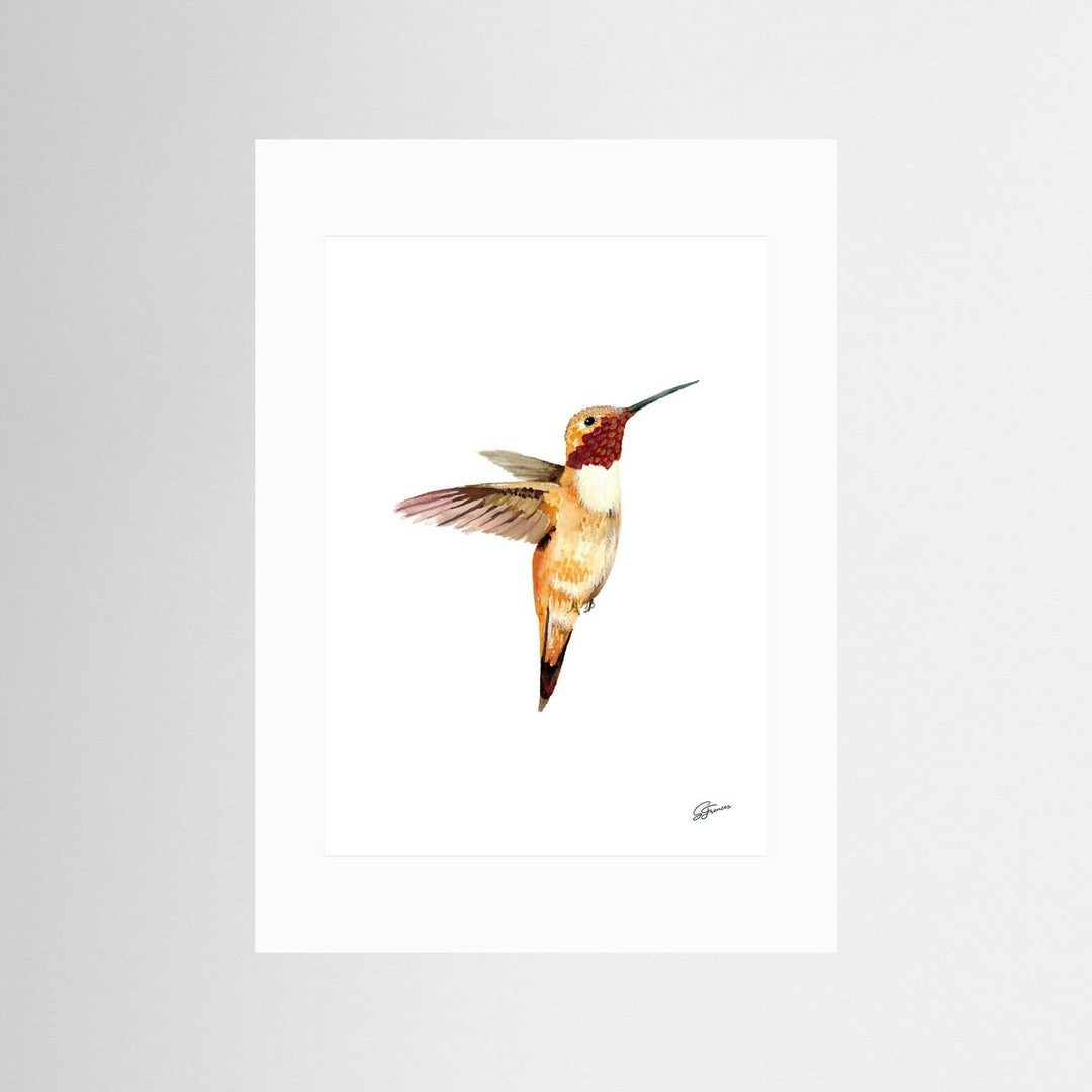 Flight of Elegance Hummingbird | Fine Art Print