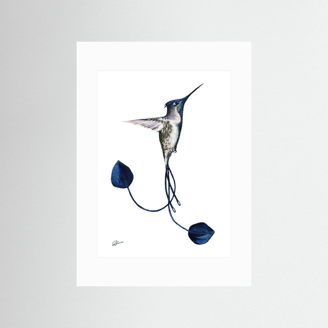 Devotion's Delight Hummingbird | Fine Art Print