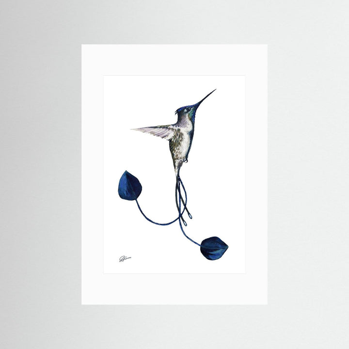 Devotion's Delight Hummingbird | Fine Art Print