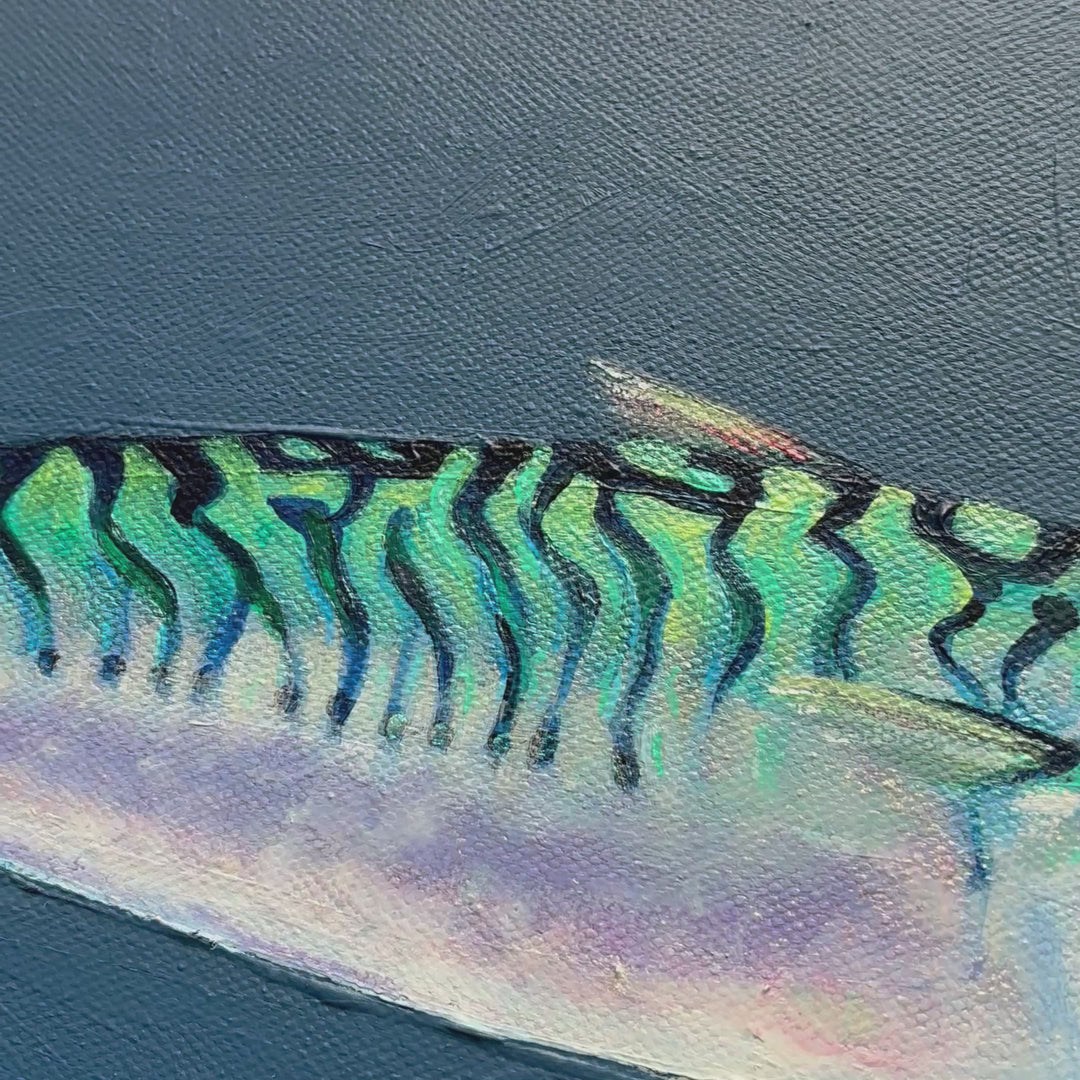 The Dapper Mackerel